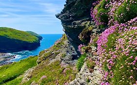 Polrunny Farm Blackberry Cottage - Cornwall Bliss In Sight Of The Sea