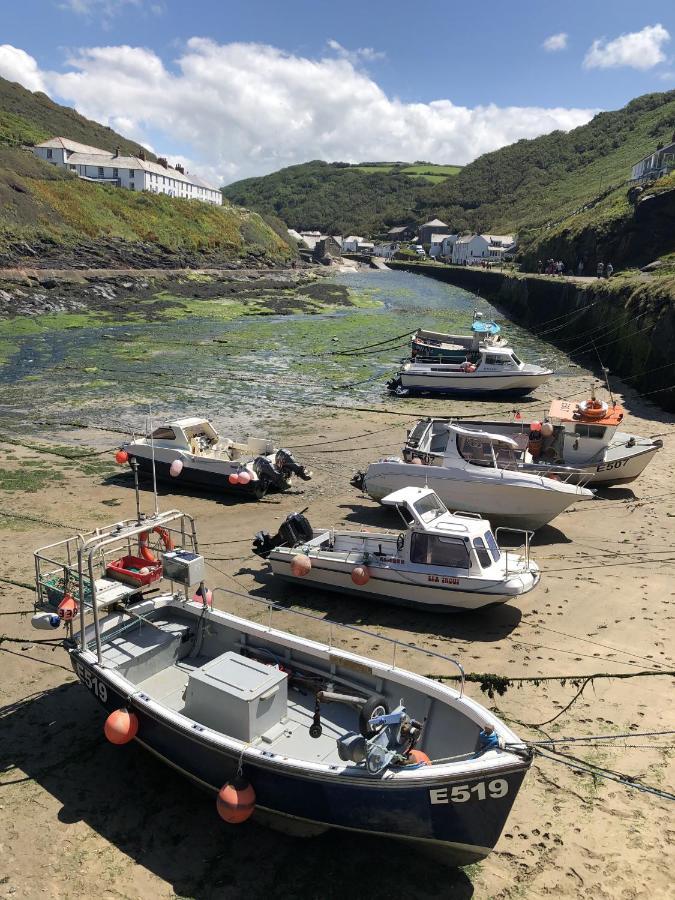 Polrunny Farm Blackberry Cottage - Cornwall Bliss In Sight Of The Sea Boscastle Exterior photo