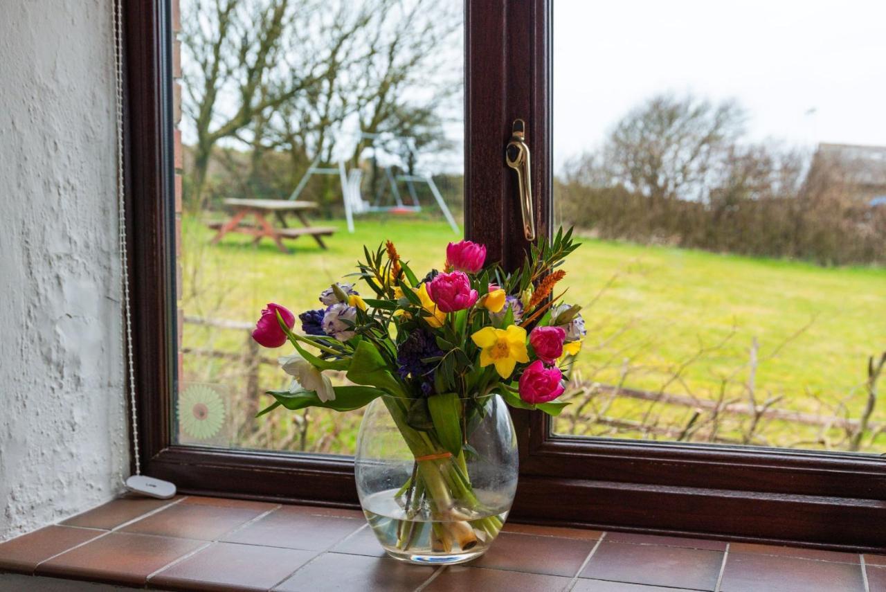 Polrunny Farm Blackberry Cottage - Cornwall Bliss In Sight Of The Sea Boscastle Exterior photo
