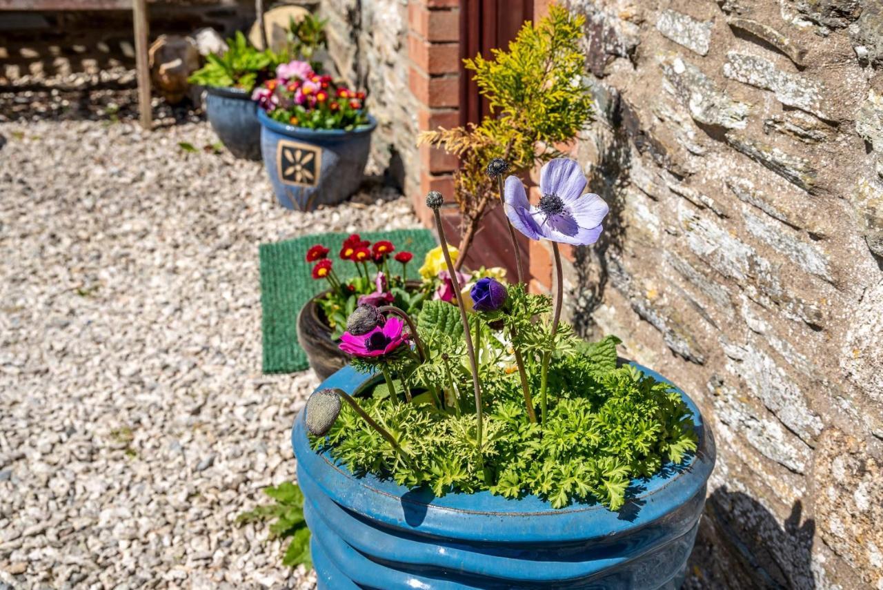 Polrunny Farm Blackberry Cottage - Cornwall Bliss In Sight Of The Sea Boscastle Exterior photo