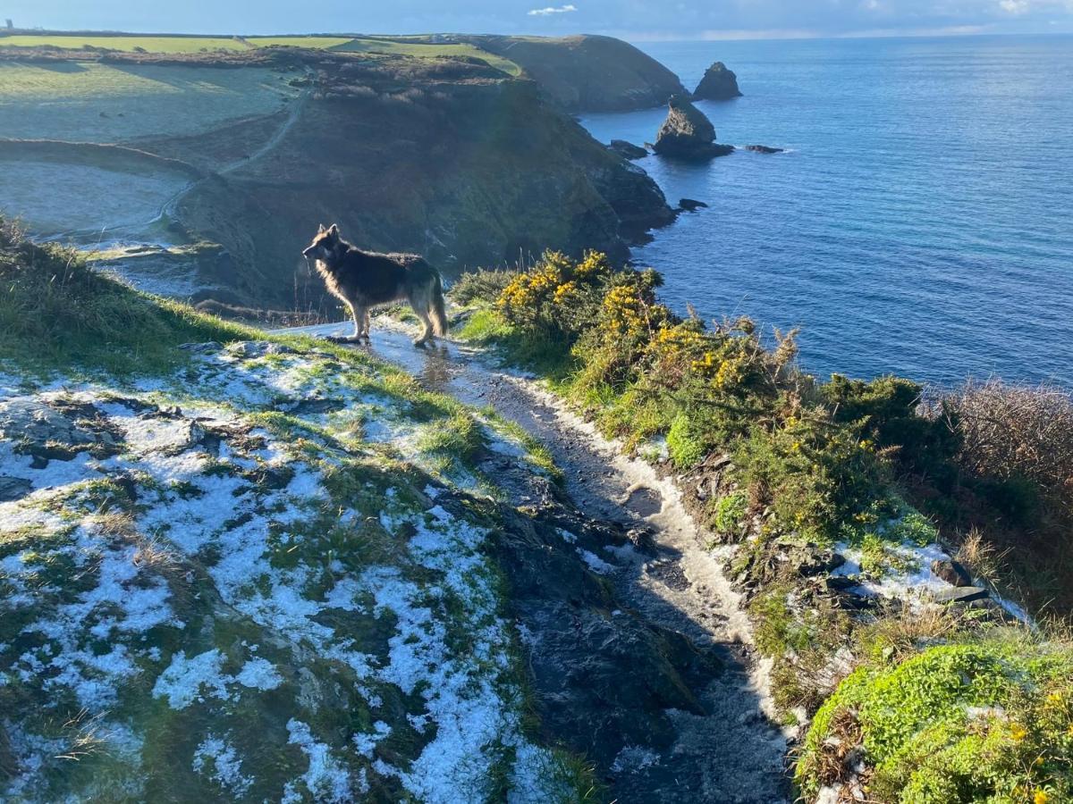 Polrunny Farm Blackberry Cottage - Cornwall Bliss In Sight Of The Sea Boscastle Exterior photo